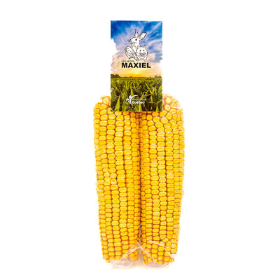 Duo d'épi de maïs de Ferme Maxiel
