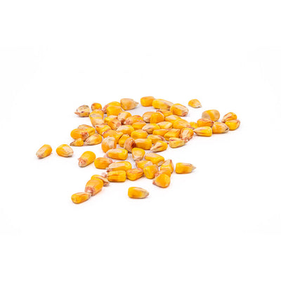 Perles de maïs